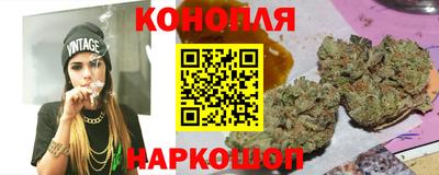 индика Пенза
