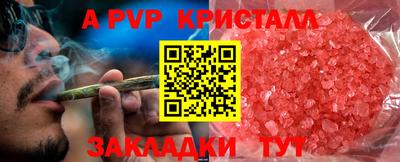 индика Пенза