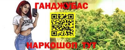 индика Пенза