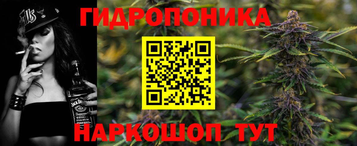Бошки Шишки ГИДРОПОН Сосновый Бор
